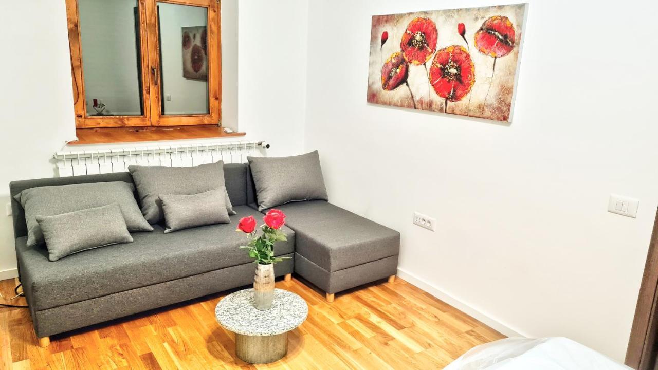 Spacious 5* Luxury In Historic Center Free Parking Kaloşvar Dış mekan fotoğraf